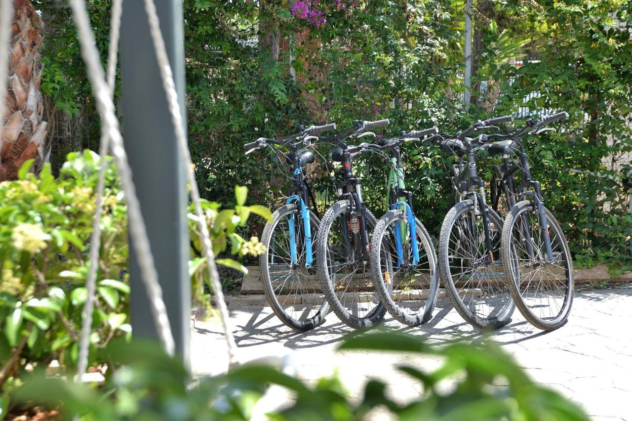 Alekos Luxury Suites Free 24H Transportation From - To Airport Artemida  Eksteriør billede